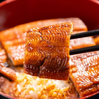 【計400g】うなぎ蒲焼き 約200g×2尾 (愛知県産鰻) フジ物産 fb-0138