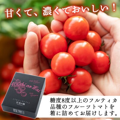 【第3回 全国ミニトマト選手権 [銅賞] 受賞!】フルーツトマト1kg 先行受付 kr-0070