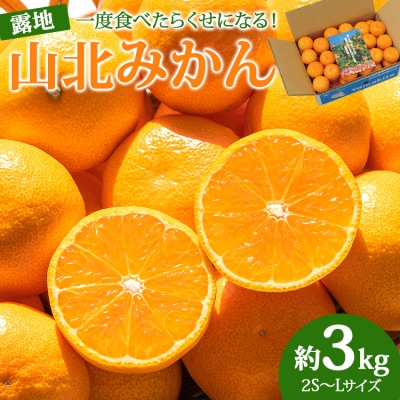 【令和7年度出荷】ブランドみかん 小玉 3kg 山北みかん 温州みかん 3キロ 人気 ku-0042