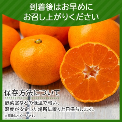 【令和8年10月下旬発送開始】山北みかん 3kg 温州みかん 3キロ 人気 ジュース ku-0052