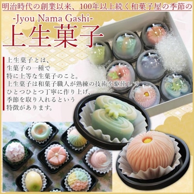和菓子 合同会社武市神栄堂の上生菓子 8個入り yd-0019