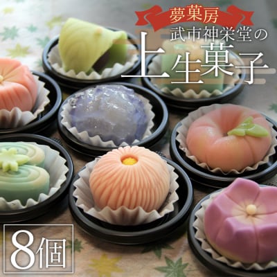 和菓子 合同会社武市神栄堂の上生菓子 8個入り yd-0019