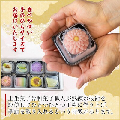 和菓子 合同会社武市神栄堂の上生菓子 8個入り yd-0019