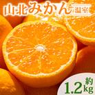 【2026年発送分】山北温室みかん 1.2kg ku-0050