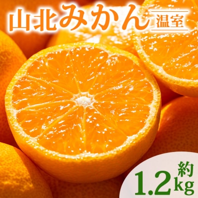 【2026年発送分】山北温室みかん 1.2kg ku-0050