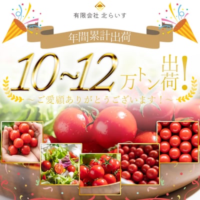 【2025年12月以降順次配送分】高糖度&高機能性 フルーツトマト2kg kr-0067