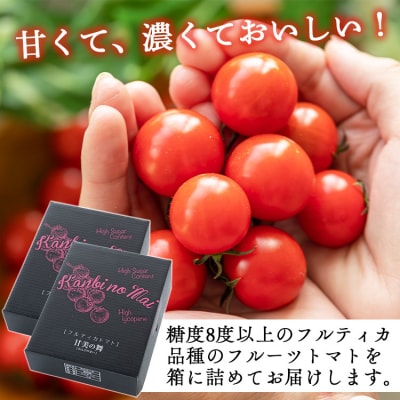 【2025年12月以降順次配送分】高糖度&高機能性 フルーツトマト2kg kr-0067