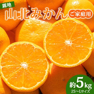 【令和8年10月下旬発送開始】訳あり 山北みかん 5kg 家庭用 温州みかん 人気 ku-0054