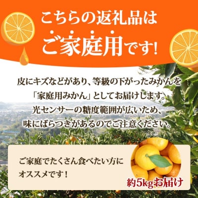 【令和8年10月下旬発送開始】訳あり 山北みかん 5kg 家庭用 温州みかん 人気 ku-0054