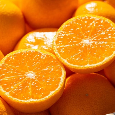 【令和8年10月下旬発送開始】訳あり 山北みかん 5kg 家庭用 小玉 5kg ku-0054