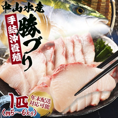 ぶり 1尾 5kg～6kg ぶりしゃぶ ブリカマ ブリ刺身 ぶりのたたきでお楽しみ ny-0014