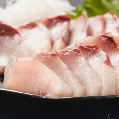 【日時指定可能】ぶり 1匹(5kg～6kg) 手結沖養殖「勝ブリ」 ny-0010