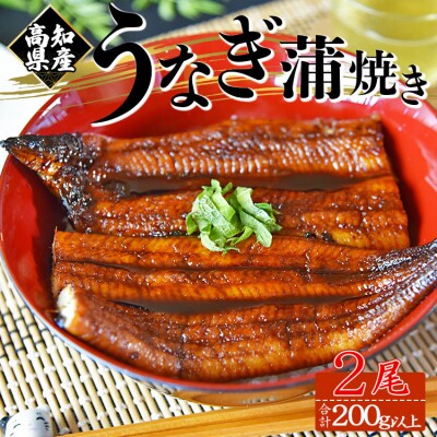 【高知県産】うなぎ 蒲焼き 100～120g 2尾セット 養殖 fb-0142