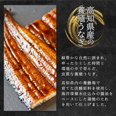 【高知県産】うなぎ蒲焼き100～120g(2尾セット)養殖 fb-0142