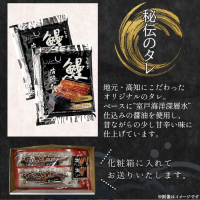 【高知県産】うなぎ 蒲焼き 100～120g 2尾セット 養殖 fb-0142