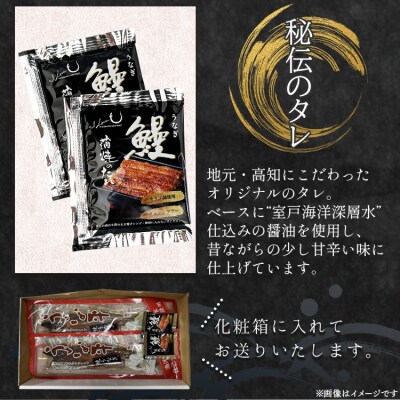 【高知県産】うなぎ蒲焼き100～120g(2尾セット)養殖 fb-0142