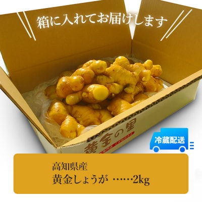 生姜一筋70年の生姜老舗問屋 黄金しょうが2kg Xnb-0007