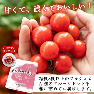 【2025年12月以降順次配送】高糖度&高機能性 フルーツトマト150g×12パック kr-0068