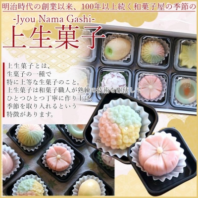 【4回定期便】季節の上生菓子 計32個 和菓子詰め合わせ 和菓子セット 和菓子 Wyd-0024