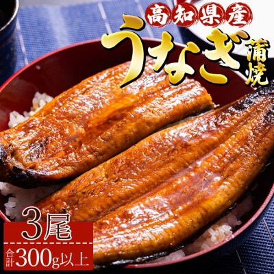 高知県産養殖うなぎ蒲焼 100～120g 3尾セット ss-0025