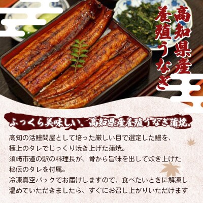 高知県産養殖うなぎ蒲焼 100～120g 3尾セット ss-0025