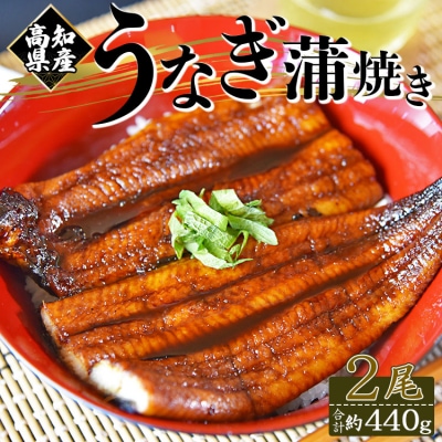 【計440g】うなぎ 国産 養殖うなぎ蒲焼き 約220g×2尾(高知県産鰻) fb-0140