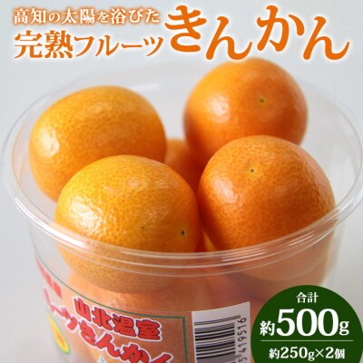 高知の太陽を浴びた完熟フルーツきんかん 合計500g(250g&times;2パック) ku-0020