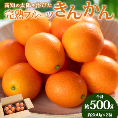 【先行受付】高知 完熟フルーツきんかん 合計500g(250g×2パック) ku-0048
