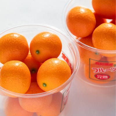 【先行受付】高知 完熟フルーツきんかん 合計500g(250g×2パック) ku-0048