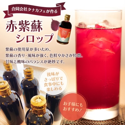  【先行受付】赤紫蘇シロップ(赤しそシロップ) 2本合計600ml 赤紫蘇ジュース tc-0008