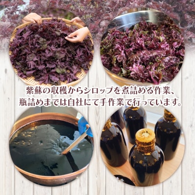  【先行受付】赤紫蘇シロップ(赤しそシロップ) 2本合計600ml 赤紫蘇ジュース tc-0008