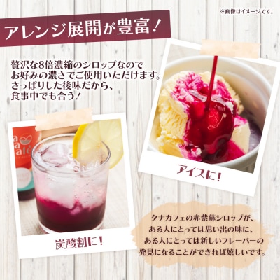  【先行受付】赤紫蘇シロップ(赤しそシロップ) 2本合計600ml 赤紫蘇ジュース tc-0008