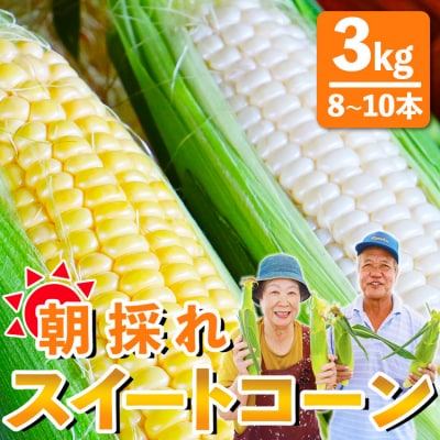 とうもろこし 朝採れスイートコーン 3kg (8～10本) sg-0005