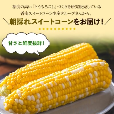 とうもろこし 朝採れスイートコーン 3kg (8～10本) sg-0005