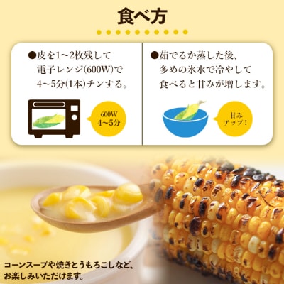 とうもろこし 朝採れスイートコーン 3kg (8～10本) sg-0005