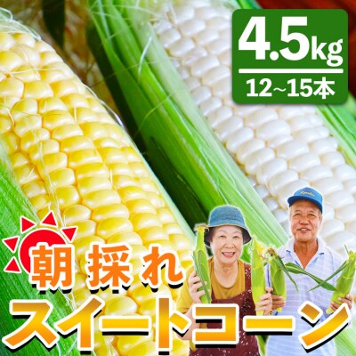 朝採れスイートコーン 4.5kg(12～15本) sg-0006