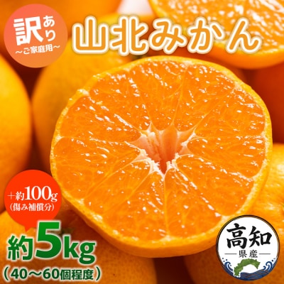 みかん小玉大玉混合3kg 温州みかん 訳あり 家庭用 山北 約5kg yk-0076