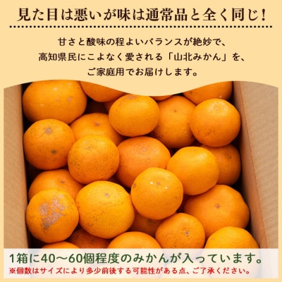 訳あり 山北みかん ご家庭用 約5kg(約40～60個) 山北みらい yk-0042