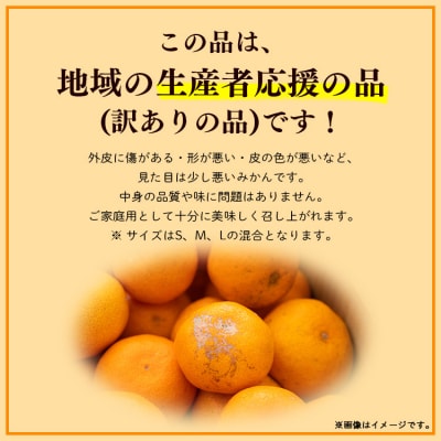 訳あり 山北みかん ご家庭用 約5kg(約40～60個) 山北みらい yk-0042