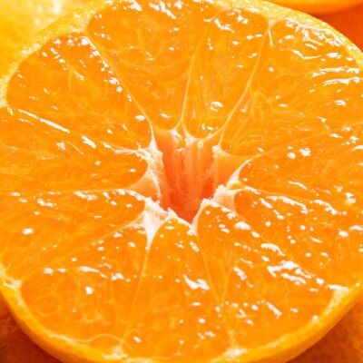 【今季発送は1月12日決済分まで】山北みかん ご家庭用 約5kg yk-0058