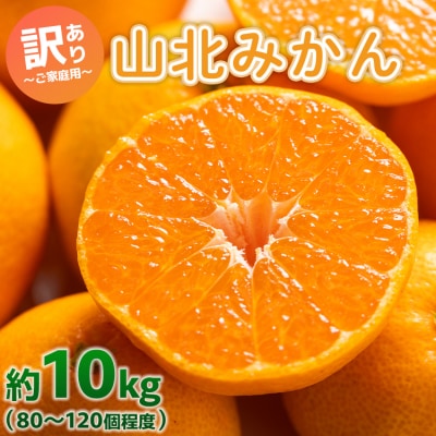 【今季発送は1月12日決済分まで】山北みかん ご家庭用 約10kg yk-0059