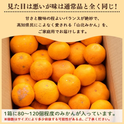 訳あり 山北みかん ご家庭用 約10kg(80～120個程度) 山北みらい yk-0043