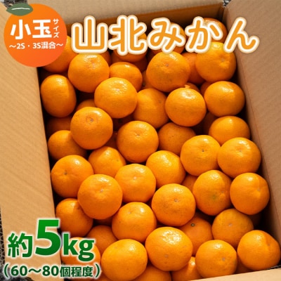 山北みかん 小玉サイズ 2S・3S混合 約5kg(60～80個程度) 山北みらい yk-0044