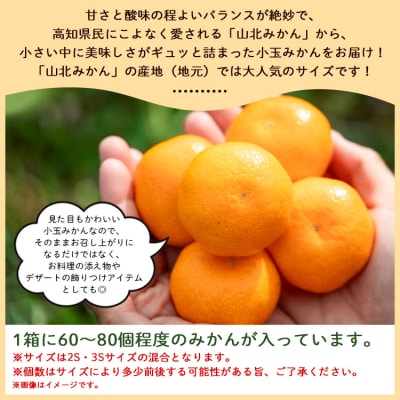 山北みかん 小玉サイズ 2S・3S混合 約5kg(60～80個程度) 山北みらい yk-0044