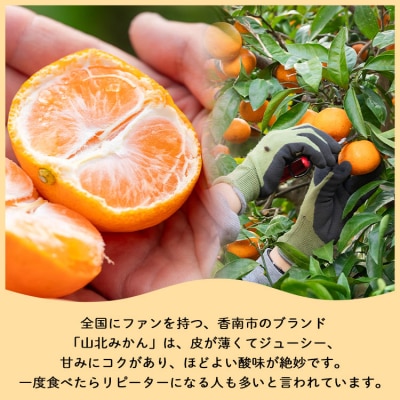 山北みかん 小玉サイズ 2S・3S混合 約5kg(60～80個程度) 山北みらい yk-0044
