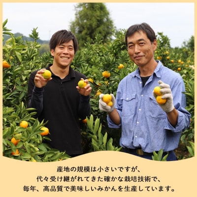 山北みかん 小玉サイズ 2S・3S混合 約5kg(60～80個程度) 山北みらい yk-0044
