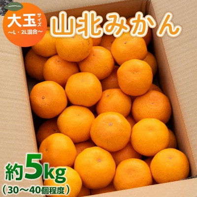 山北みかん 大玉サイズ L・2L混合 約5kg(30～40個程度) 山北みらい yk-0045