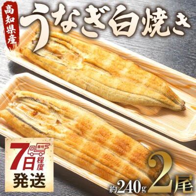 【7日程度で発送】うなぎ白焼き120g 2尾セット(無頭) un-0017