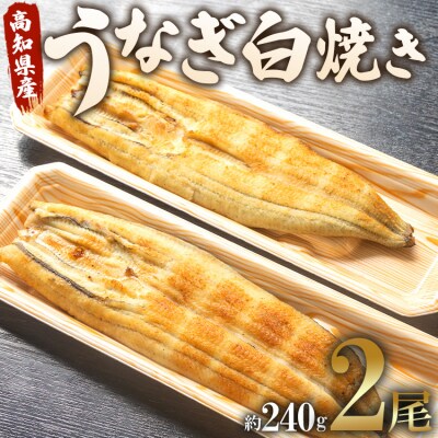 【7日程度で発送】うなぎ白焼き120g 2尾セット(無頭) un-0017