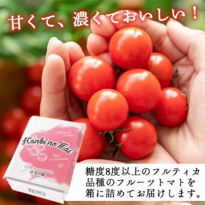 【2025年12月以降順次配送分】高糖度&高機能性 フルーツトマト3kg kr-0069